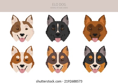 Elo dog clipart. Different coat colors set.  Vector illustration