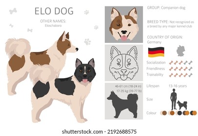 Elo dog clipart. Different coat colors set.  Vector illustration