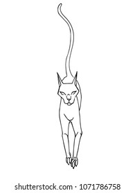 elongate cat line art vector