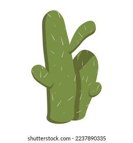 Elongated cactus with thorns. Design element, vector isolated on white background.