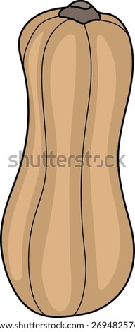An elongated light brown pumpkin on a white background