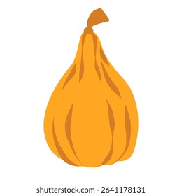 elongated orange pumpkin vector illustration, autumn squash clipart, fall harvest vegetable