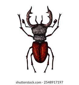 elytra beetle hand drawn. entomology biodiversity, species habitat, larvae metamorphosis elytra beetle vector sketch. isolated color illustration