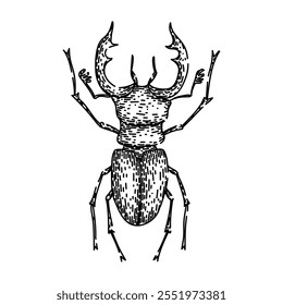 elytra besouro desenhado à mão. entomologia biodiversidade, habitat espécie, metamorfose de larvas elytra besouro esboço vetor. ilustração preta isolada