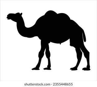 Embark on a journey through the desert with this captivating camel vector icon. The graceful curves and intricate details highlight the camel's unique beauty.