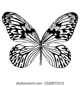 Embark on a whimsical journey with this captivating black and white butterfly design. Designed for coloring books, this enchanting artwork encourages children to bring the butterflies to life.