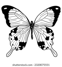 Embark on a whimsical journey with this captivating black and white butterfly design. Designed for coloring books, this enchanting artwork encourages children to bring the butterflies to life.