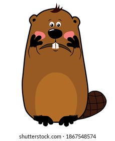 Embarrassed Confused Cartoon Beaver On White Stock Vector (royalty Free 