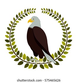 emblem eagle sign icon imge, vector illustration design
