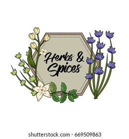 emblem herbs and spices plants and organ food
