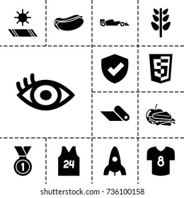 Emblem icon. set of 13 filled emblem icons such as rocket, hot dog, sandwich and apple, plant, eye, medal, sport t shirt number 24, sport car, football t shirt, carpet