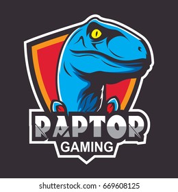 Emblem or logo for a sports team