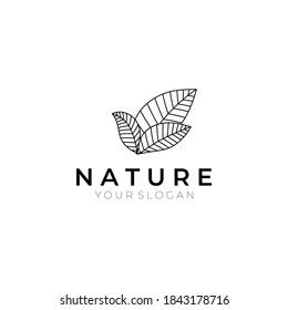 Emblem luxury beauty spa, cosmetics, jewelry, hotel, restaurant. Wedding elegant outline frame. Vector floral luxury curve logo design. Vintage premium design vector element.