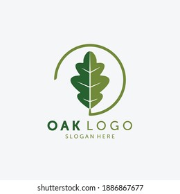 Emblem of Oak Leaf Logo Vector Design Vintage Illustration, Healthy Logo, Acupuncture Spa Logo Vintage