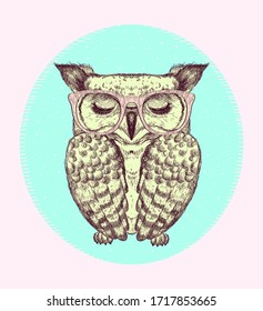 Emblem with owl dressed in glasses, hand drawn graphic vector illustration