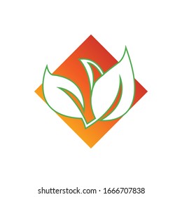 emblema logotipo de hoja de té ilustración en color del diseño vectorial