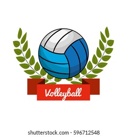 emblem volleyball game icon