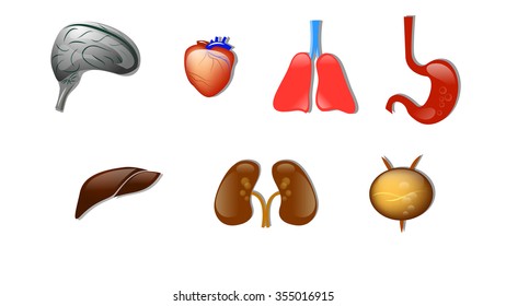 Emblems Of All The Major Human Organs