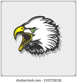 Emblems with Eagle head. Template for sport club design.