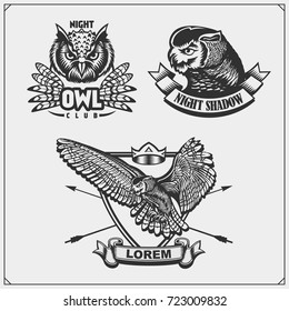 The emblems with owl. Vector illustration.