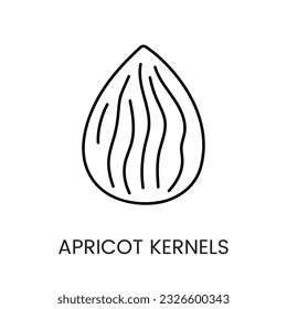 Embrace the inherent goodness with this simple line vector representation, Apricot Kernels Icon