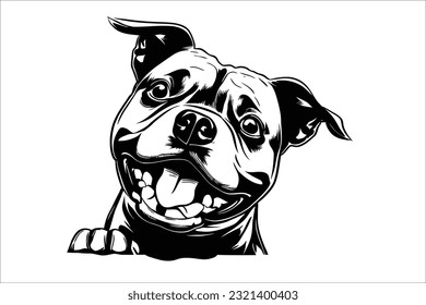 Embrace the powerful charm of a Staffordshire Bull Terrier's head. With its muscular build and captivating gaze, this dog breed embodies strength and loyalty