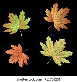 Embroidered autumn maple leaves on black background. Vector fronds illustration.