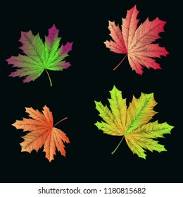 Embroidered maple leaves on black background. Autumn concept. Vector illustration.