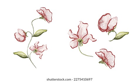 embroidered vector line flowers and leaves in red, pink and green colors on a white background