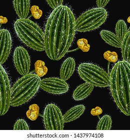 Embroidery, blossoming cactus seamless pattern. Mexican culture style. Fashion template for kids clothes, t-shirt design 