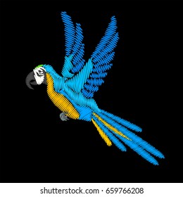 Embroidery Blue-and-yellow macaw. Blue flying parrot isolated on black background.