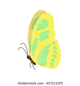 embroidery butterfly design for clothing. isolated insect vector decoration