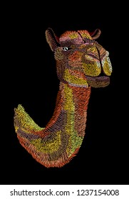 Embroidery camel. Animal head , print for clothes, textiles, t-shirt design. Vector illustration