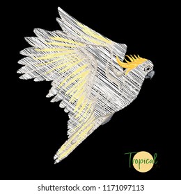 Embroidery of elements for design with bird.  Cockatoo parrot, Colored vector illustration. Isolated on black background.

