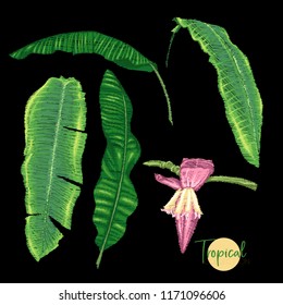 Bordado de elementos para el diseño con plantas tropicales. Ilustración vectorial coloreada. Aislado sobre fondo negro.

