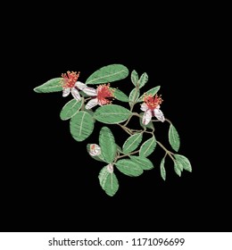 Embroidery of elements for design with tropical plants.  Colored vector illustration. Isolated on black background.


