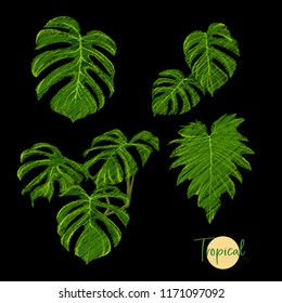 Embroidery of elements for design with tropical plants.  Colored vector illustration. Isolated on black background.

