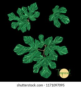 Embroidery of elements for design with tropical plants.  Colored vector illustration. Isolated on black background.

