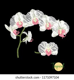 Embroidery of elements for design with tropical plants.  Colored vector illustration. Isolated on black background.


