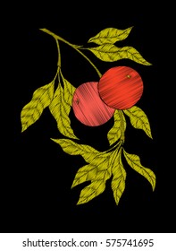 Embroidery. Embroidered design elements with apple and leaves in vintage style on a black background. Stock vector illustration.