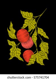 Embroidery. Embroidered design elements with apple and leaves in vintage style on a black background. Stock vector illustration.