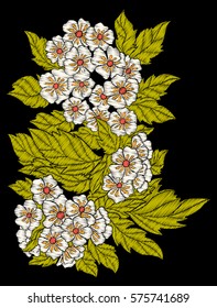 Embroidery. Embroidered design elements with flowers and leaves in vintage style on a black background. Stock vector illustration.