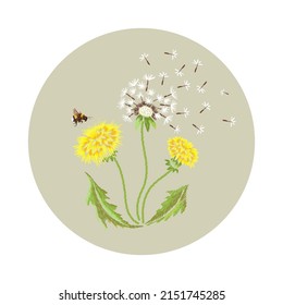 Embroidery floral pattern with dandelions and bee. Vector  traditional embroidered bouquet of dandelions flower on beige background for design 