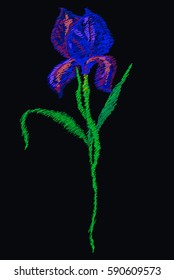 Embroidery irises. Beautiful spring purple irises against black background, embroidery template