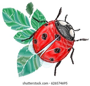 Embroidery ladybug vector illustration