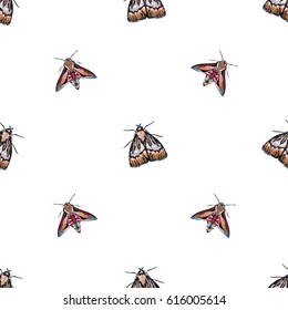 Embroidery night butterfly and moth. Fashion patch with insects illustration. Seamless pattern backdrop. Trendy traditional art on white background.