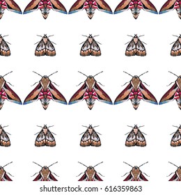 Embroidery night butterfly and moth. Fashion patch with insects illustration. Seamless pattern backdrop. Trendy traditional art on white background.