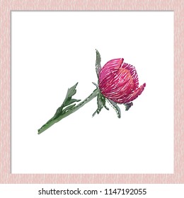Embroidery peony bulb sketch patch. Hand drawn stitching style floral illustration of flowers bud. Isolated flower on white background inside a soft pink wooden frame.