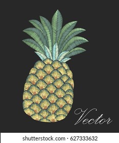 Embroidery pineapple. Embroidered design tropical fruit plant on a black background. Stock vector illustration