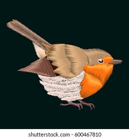 Embroidery robin bird. Vector illustrations vintage design